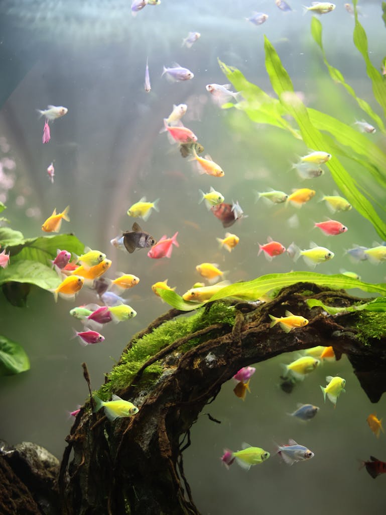 A lively aquarium scene featuring various colorful tropical fish swimming around lush greenery.
