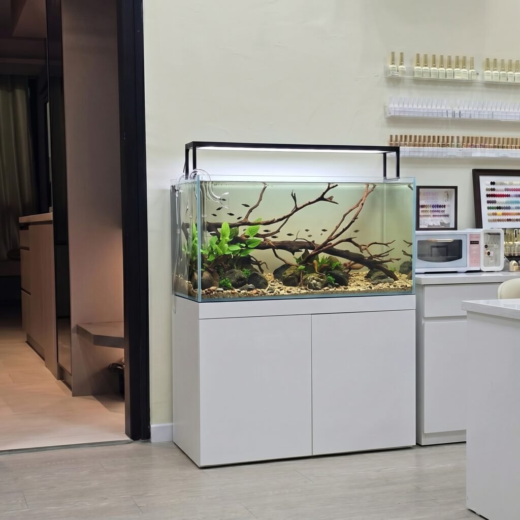 office aquarium maintenance