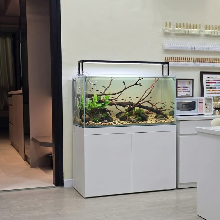 office aquarium maintenance